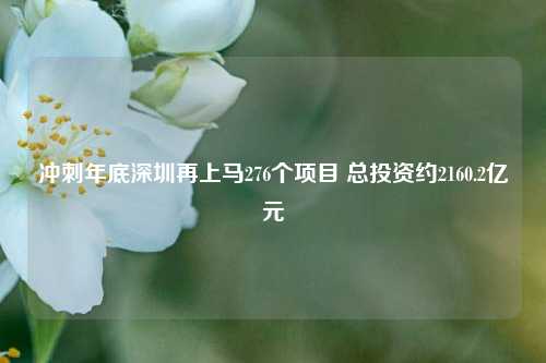 冲刺年底深圳再上马276个项目 总投资约2160.2亿元-第1张图片-特色小吃做法