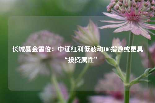 长城基金雷俊：中证红利低波动100指数或更具“投资属性”-第1张图片-特色小吃做法