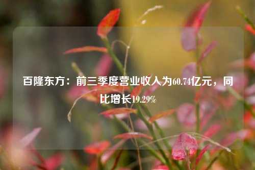 百隆东方：前三季度营业收入为60.74亿元，同比增长19.29%-第1张图片-特色小吃做法