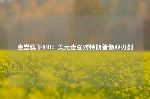 惠誉旗下BMI：美元走强对特朗普像双刃剑-第1张图片-特色小吃做法