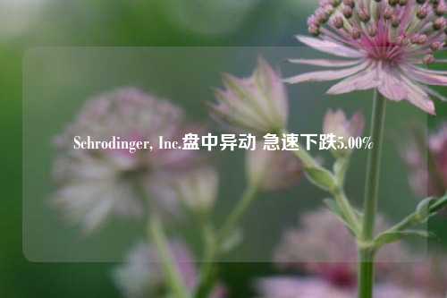 Schrodinger, Inc.盘中异动 急速下跌5.00%