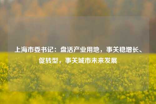 上海市委书记：盘活产业用地，事关稳增长、促转型，事关城市未来发展  第1张