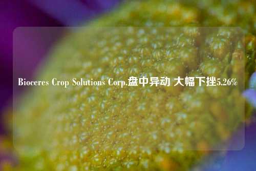 Bioceres Crop Solutions Corp.盘中异动 大幅下挫5.26%