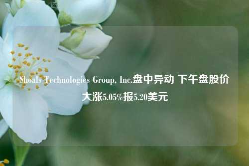 Shoals Technologies Group, Inc.盘中异动 下午盘股价大涨5.05%报5.20美元