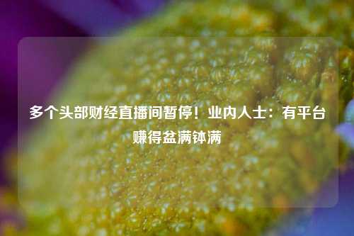 多个头部财经直播间暂停！业内人士：有平台赚得盆满钵满  第1张