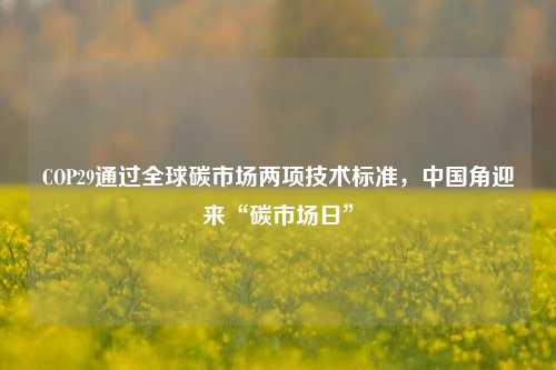 COP29通过全球碳市场两项技术标准，中国角迎来“碳市场日”