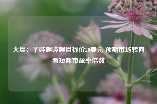 大摩：予哔哩哔哩目标价20美元 预期市场转向看短期市盈率倍数