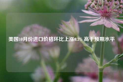 美国10月份进口价格环比上涨0.3% 高于预期水平