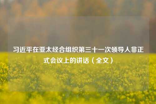 习近平在亚太经合组织第三十一次领导人非正式会议上的讲话（全文）-第1张图片-特色小吃做法