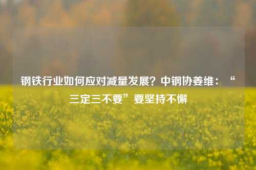 钢铁行业如何应对减量发展？中钢协姜维：“三定三不要”要坚持不懈-第1张图片-特色小吃做法