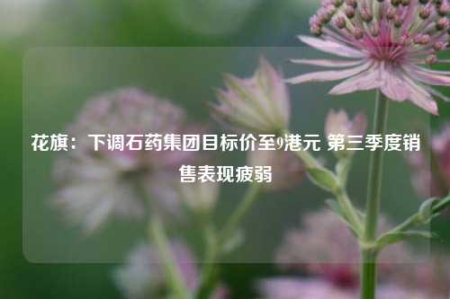 花旗：下调石药集团目标价至9港元 第三季度销售表现疲弱-第1张图片-特色小吃做法