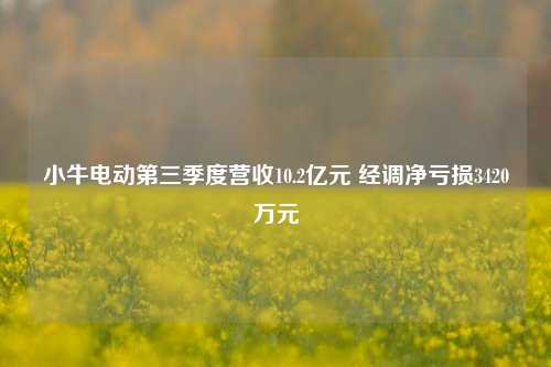 小牛电动第三季度营收10.2亿元 经调净亏损3420万元-第1张图片-特色小吃做法