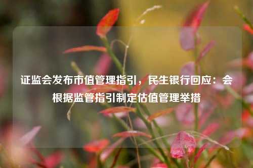 证监会发布市值管理指引，民生银行回应：会根据监管指引制定估值管理举措-第1张图片-特色小吃做法