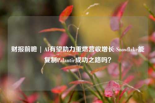 财报前瞻 | AI有望助力重燃营收增长 Snowflake能复制Palantir成功之路吗？-第1张图片-特色小吃做法