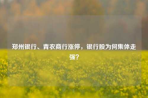 郑州银行、青农商行涨停，银行股为何集体走强？-第1张图片-特色小吃做法