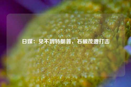 日媒：见不到特朗普，石破茂遭打击-第1张图片-特色小吃做法