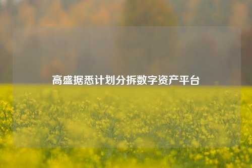 高盛据悉计划分拆数字资产平台-第1张图片-特色小吃做法