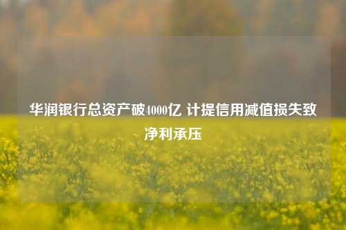 华润银行总资产破4000亿 计提信用减值损失致净利承压-第1张图片-特色小吃做法