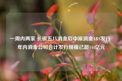 一周内两家 长银五八消金后中原消金ABS发行 年内消金公司合计发行规模已超144亿元-第1张图片-特色小吃做法