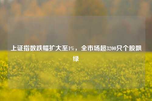 上证指数跌幅扩大至1%，全市场超3200只个股飘绿-第1张图片-特色小吃做法