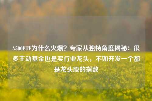 A500ETF为什么火爆？专家从独特角度揭秘：很多主动基金也是买行业龙头，不如开发一个都是龙头股的指数-第1张图片-特色小吃做法