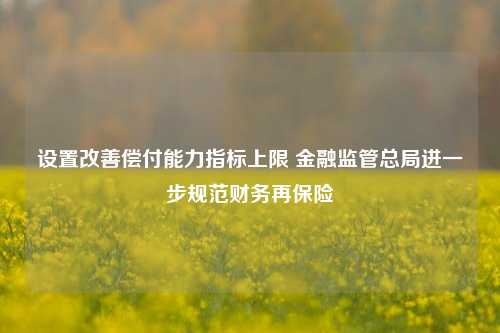 设置改善偿付能力指标上限 金融监管总局进一步规范财务再保险-第1张图片-特色小吃做法