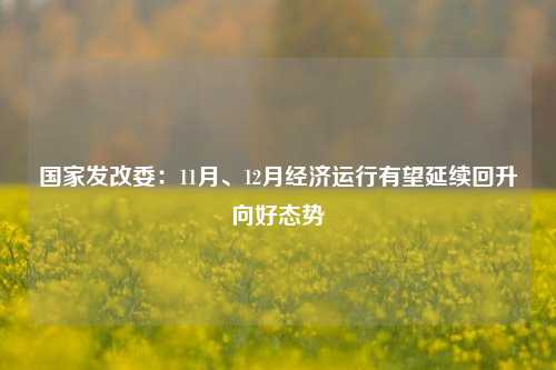 国家发改委：11月、12月经济运行有望延续回升向好态势-第1张图片-特色小吃做法