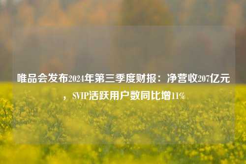 唯品会发布2024年第三季度财报：净营收207亿元，SVIP活跃用户数同比增11%-第1张图片-特色小吃做法