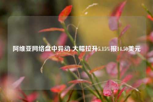 阿维亚网络盘中异动 大幅拉升5.15%报14.50美元-第1张图片-特色小吃做法