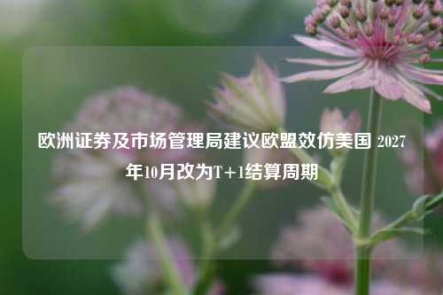 欧洲证券及市场管理局建议欧盟效仿美国 2027年10月改为T+1结算周期-第1张图片-特色小吃做法