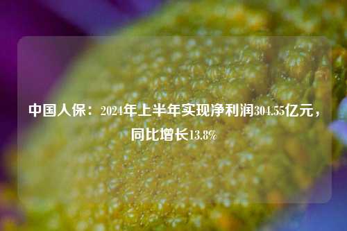 中国人保：2024年上半年实现净利润304.55亿元，同比增长13.8%-第1张图片-特色小吃做法