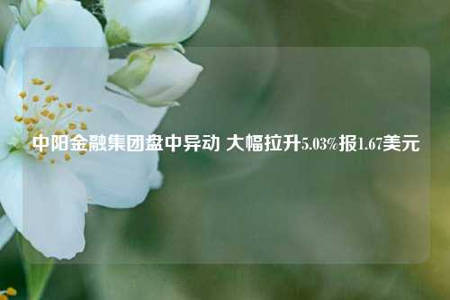 中阳金融集团盘中异动 大幅拉升5.03%报1.67美元-第1张图片-特色小吃做法