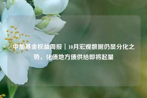 中加基金权益周报︱10月宏观数据仍显分化之势，化债地方债供给即将起量-第1张图片-特色小吃做法