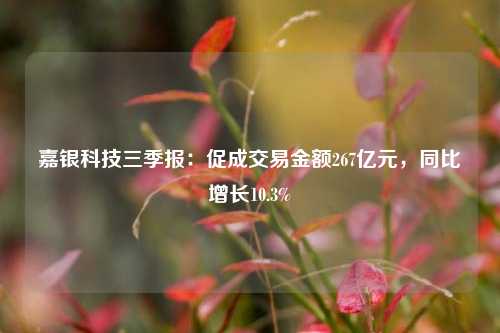 嘉银科技三季报：促成交易金额267亿元，同比增长10.3%-第1张图片-特色小吃做法