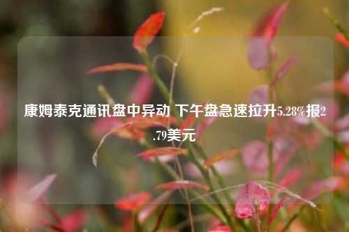 康姆泰克通讯盘中异动 下午盘急速拉升5.28%报2.79美元-第1张图片-特色小吃做法