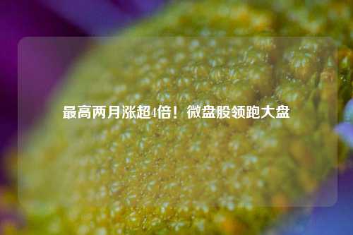 最高两月涨超4倍！微盘股领跑大盘-第1张图片-特色小吃做法