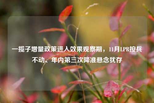 一揽子增量政策进入效果观察期，11月LPR按兵不动、年内第三次降准悬念犹存-第1张图片-特色小吃做法