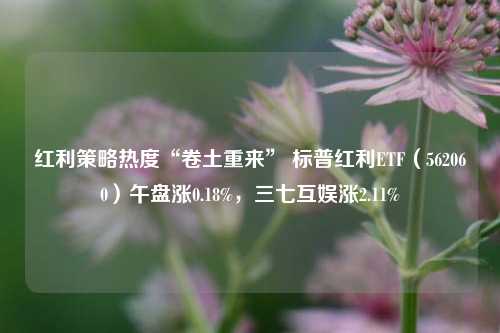 红利策略热度“卷土重来” 标普红利ETF（562060）午盘涨0.18%，三七互娱涨2.11%-第1张图片-特色小吃做法