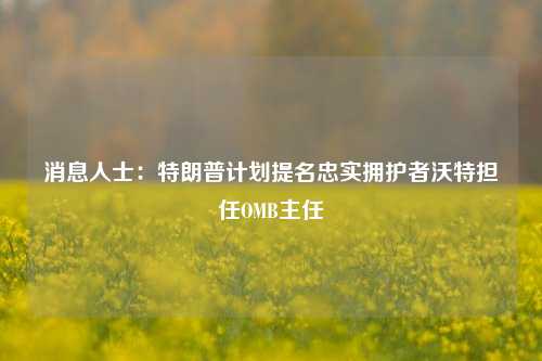 消息人士：特朗普计划提名忠实拥护者沃特担任OMB主任-第1张图片-特色小吃做法