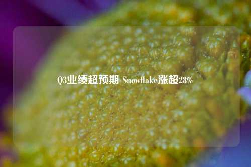 Q3业绩超预期 Snowflake涨超28%-第1张图片-特色小吃做法