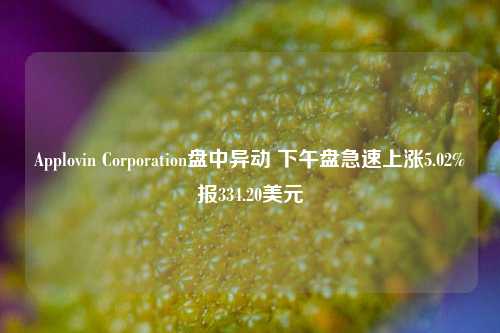 Applovin Corporation盘中异动 下午盘急速上涨5.02%报334.20美元-第1张图片-特色小吃做法