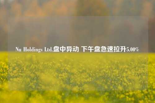 Nu Holdings Ltd.盘中异动 下午盘急速拉升5.00%-第1张图片-特色小吃做法