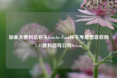 加拿大便利店巨头Couche-Tard称不考虑恶意收购7-11便利店母公司Seveni-第1张图片-特色小吃做法