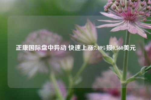 正康国际盘中异动 快速上涨7.49%报0.560美元-第1张图片-特色小吃做法