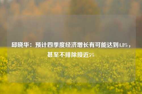 邱晓华：预计四季度经济增长有可能达到4.8%，甚至不排除接近5%-第1张图片-特色小吃做法