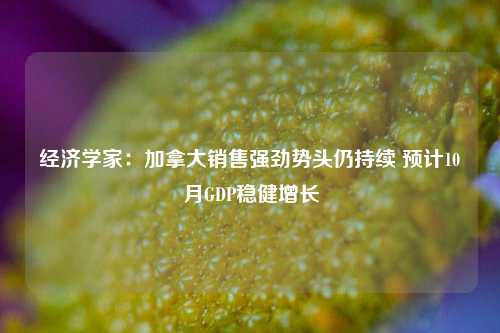 经济学家：加拿大销售强劲势头仍持续 预计10月GDP稳健增长-第1张图片-特色小吃做法