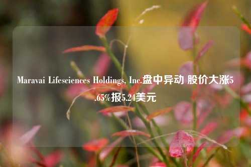 Maravai Lifesciences Holdings, Inc.盘中异动 股价大涨5.65%报5.24美元-第1张图片-特色小吃做法