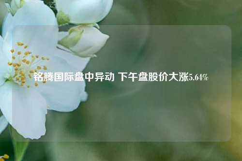 铭腾国际盘中异动 下午盘股价大涨5.64%-第1张图片-特色小吃做法