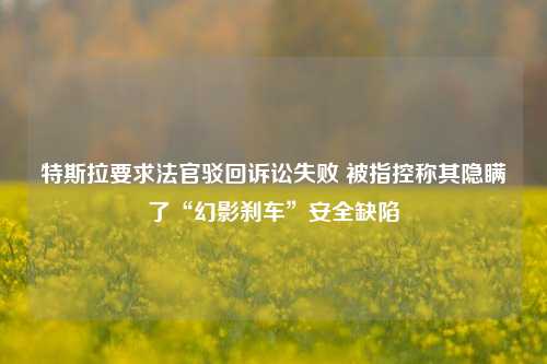 特斯拉要求法官驳回诉讼失败 被指控称其隐瞒了“幻影刹车”安全缺陷-第1张图片-特色小吃做法