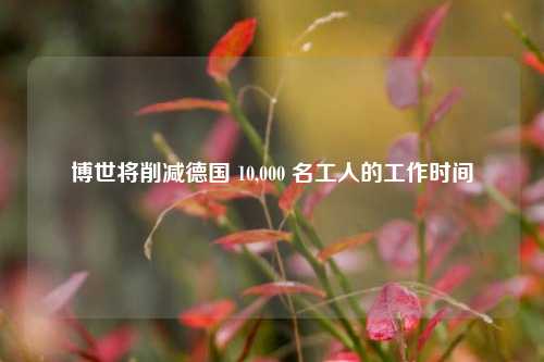 博世将削减德国 10,000 名工人的工作时间-第1张图片-特色小吃做法